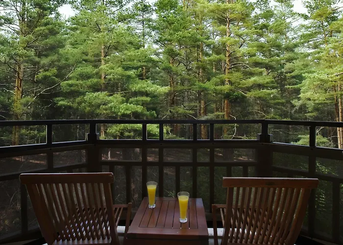 Superior Family Twin Room